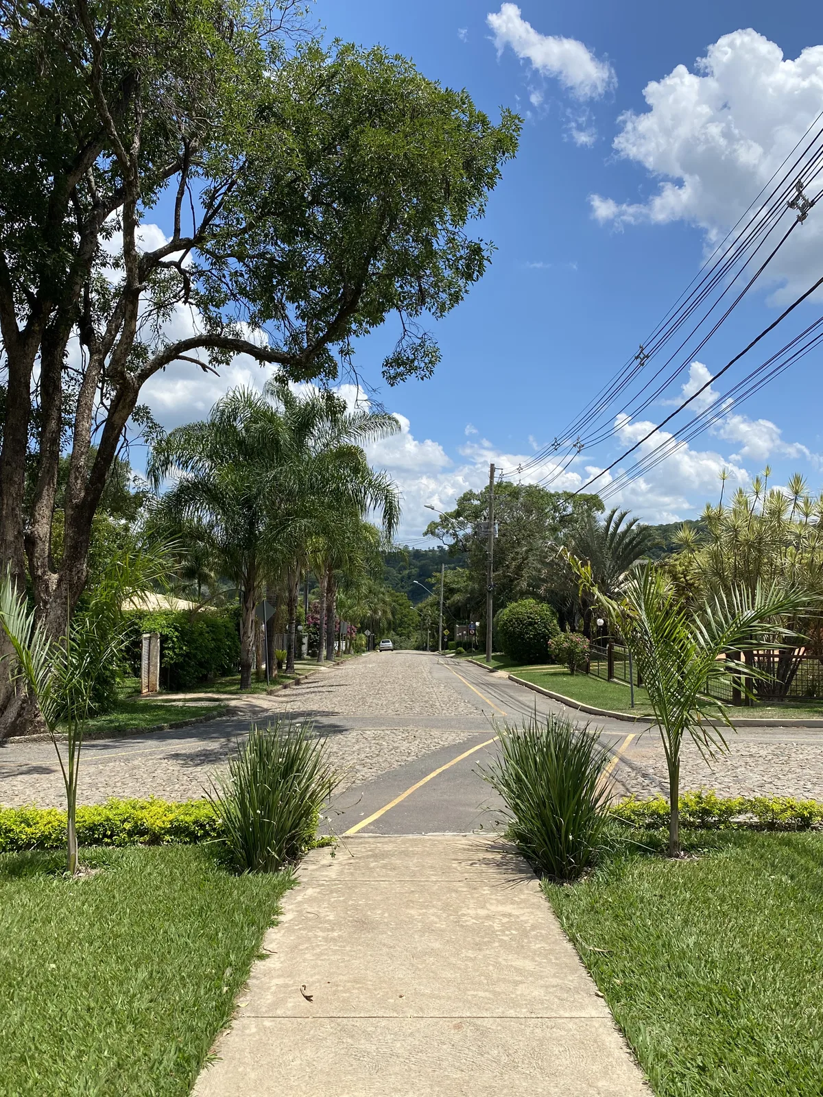 Avenida principal do condomínio com palmeiras e paisagismo